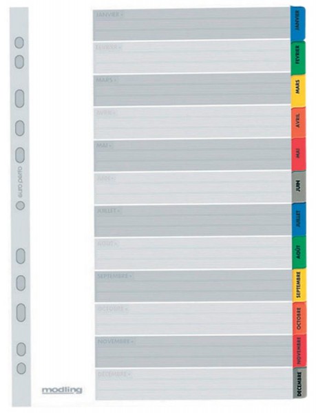 ELBA intercalaires mensuels, en carton Mylar, en couleur,