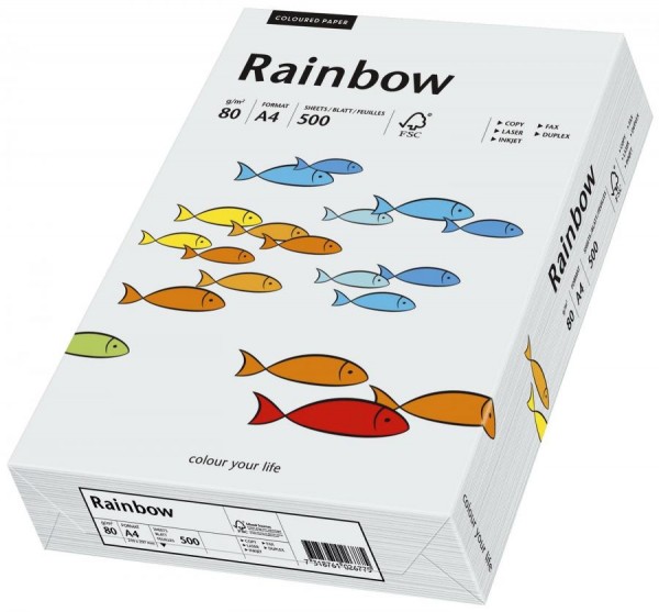 PAPYRUS Multifunktionspapier Rainbow, A4, 80 g/qm, grau