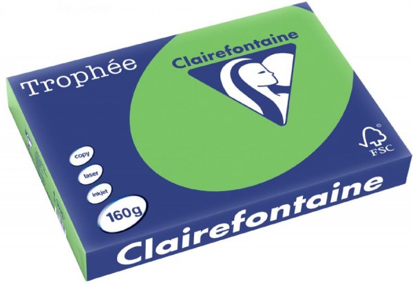 Clairalfa Multifunktionspapier, DIN A3, 160 g/qm, tannengrün