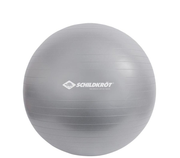 SCHILDKRÖT Gymnastikball, Durchmesser: 550 mm, silber