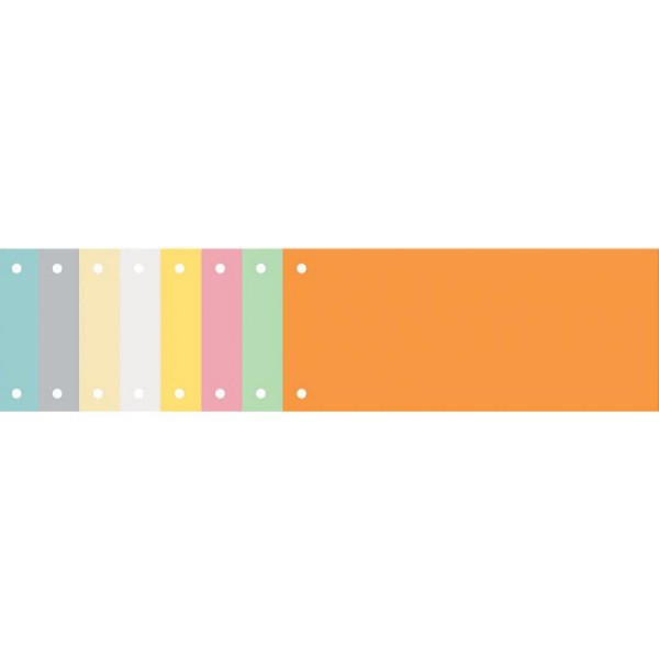 EXACOMPTA Trennstreifen Premium, 105 x 240 mm, grau