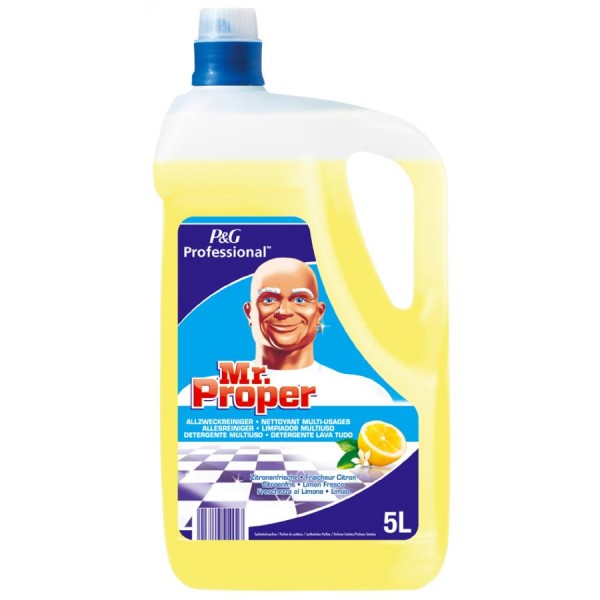 P&G Professional Meister Proper Allzweckreiniger, 5l, Zitrus