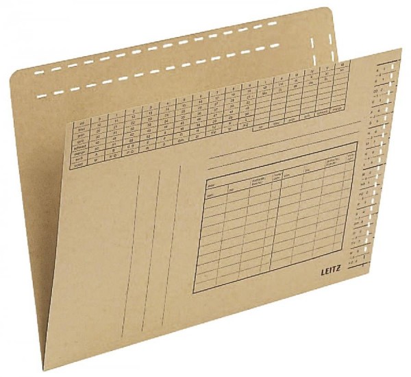 LEITZ Einstellmappe, vertikal, A4, natron